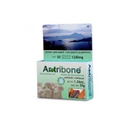 ARTRIBONE ®