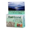 ARTRIBONE ®