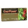 ENERPOWER ®